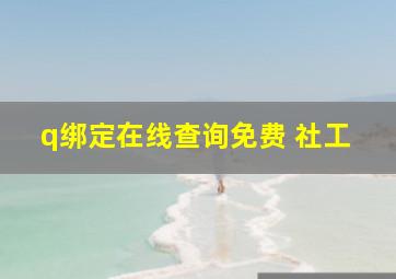 q绑定在线查询免费 社工